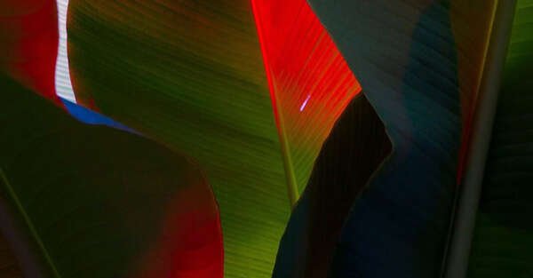 update-blog3 update-blog3